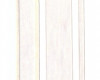 Ruban Mono ivoire  1.5cm x 23 mètres  (1 Pièce)   [RIBIVR]