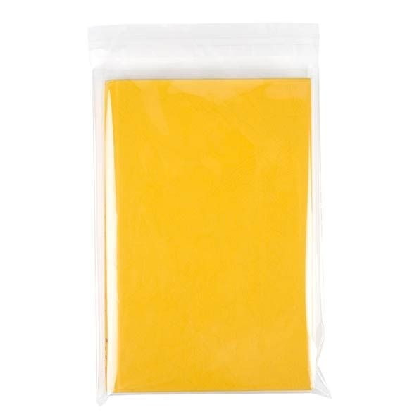 Sacs Plastiques 18x26+3cm Refermables par un Rabat Adhésif (100 Pièces) [B710]