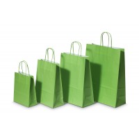 Sacs à provisions en Papier Vert- Papier Kraft 90 gram - 18+8 x 22 cm (50 pcs) [PAM1822GR]