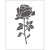 Gabarit d'embossage, dim. 11x14 cm, épaisseur 2 mm, Rose, 1pièce [HOB-11765]