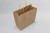 Sac de shopping en kraft100 g/gm poignées torsadées 31x12x41 cm (50 pcs) [PAMB3241]