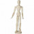 Mannequin, h: 30 cm, Homme, 1pièce [HOB-22160]