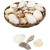 Coquillage, 350gr [HOB-50232]