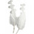 Plumes de canard, L: 14-16 cm, env. 3 gr, blanc, 12pièces [HOB-51815]
