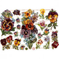 Découpes vintage, feuille 16,5x23,5 cm, fleurs, 3flles [HOB-19329]