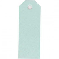 Manila Tags, size 3x8 cm, 220 g, 20 pcs, light blue [HOB-234018]