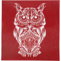Pochoir, feuille 20x22 cm, hibou, 1flles [HOB-27066]