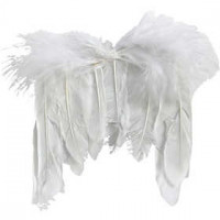 Ailes en plumes, l: 11 cm, blanc, 10pièces [HOB-48258]
