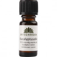 Huile essentielle eucalyptus,  suivre la recette - ne pas ingérer pur, 10ml [HOB-70217]