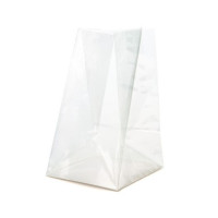 Sac à fond pliant thermoscellable, 5.1 x 3.8 x 12.7 cm avec insert en papier (100 Pieces) [FGPBH3]