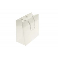 Gift Bags 16x7.6x16cm with carrying Cords (10 pieces) [G66FT]