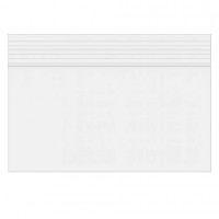 Sacs zip transparent 10x7,5cm 50 microns (100 Pièces) [2PE43]